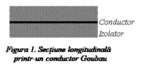 Text Box:  
Figura 1. Secțiune longitudinală 
    printr-un conductor Goubau
