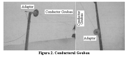Text Box:  
Figura 2. Conductorul Goubau
